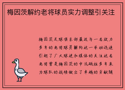 梅因茨解约老将球员实力调整引关注